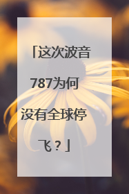 这次波音787为何没有全球停飞？