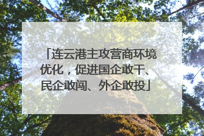 连云港主攻营商环境优化，促进国企敢干、民企敢闯、外企敢投
