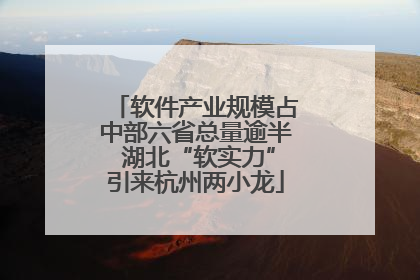 软件产业规模占中部六省总量逾半 湖北“软实力”引来杭州两小龙