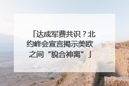 达成军费共识？北约峰会宣言揭示美欧之间“貌合神离”