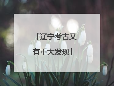 辽宁考古又有重大发现