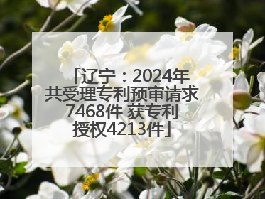 辽宁：2024年共受理专利预审请求7468件 获专利授权4213件