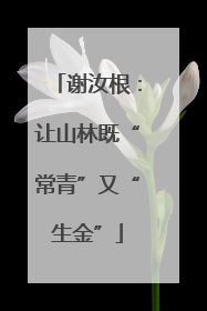 谢汝根：让山林既“常青”又“生金”