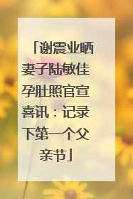 谢震业晒妻子陆敏佳孕肚照官宣喜讯：记录下第一个父亲节