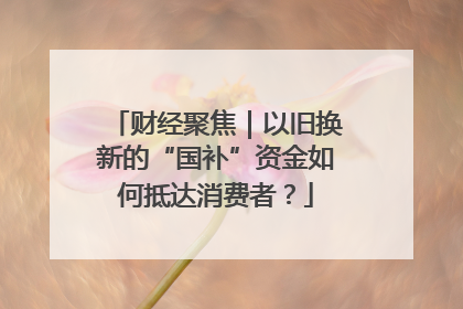 财经聚焦｜以旧换新的“国补”资金如何抵达消费者？
