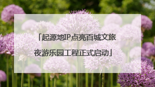 起源地IP点亮百城文旅夜游乐园工程正式启动