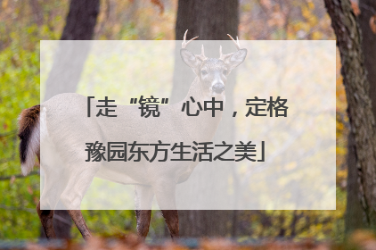 走“镜”心中，定格豫园东方生活之美
