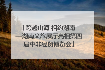 跨越山海 相约湖南——湖南文旅展厅亮相第四届中非经贸博览会