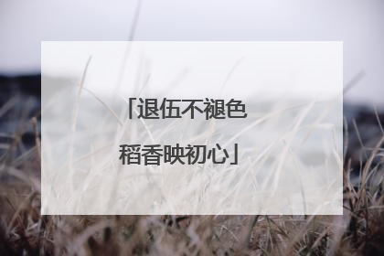 退伍不褪色 稻香映初心