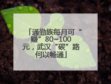 通勤族每月可“赚”80~100元，武汉“碳”路何以畅通