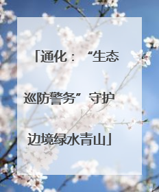 通化：“生态巡防警务”守护边境绿水青山