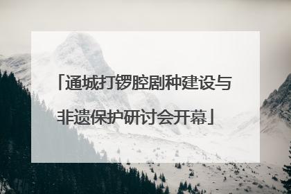 通城打锣腔剧种建设与非遗保护研讨会开幕