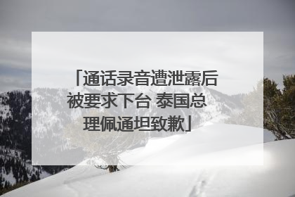 通话录音遭泄露后被要求下台 泰国总理佩通坦致歉