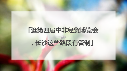 逛第四届中非经贸博览会，长沙这些路段有管制