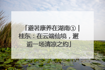 避暑康养在湖南①｜桂东：在云端仙境，邂逅一场清凉之约