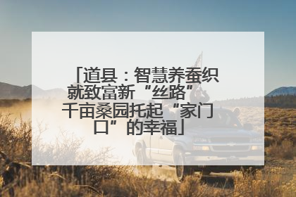 道县：智慧养蚕织就致富新“丝路” 千亩桑园托起“家门口”的幸福