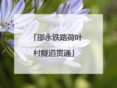 邵永铁路荷叶村隧道贯通