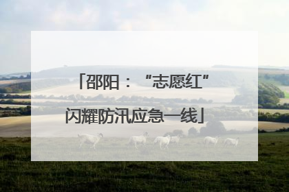 邵阳：“志愿红”闪耀防汛应急一线