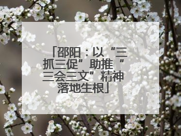 邵阳：以“三抓三促”助推“三会三文”精神落地生根
