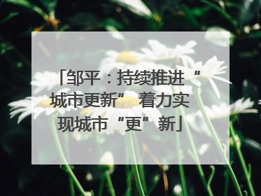 邹平：持续推进“城市更新” 着力实现城市“更”新