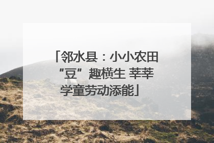 邻水县：小小农田“豆”趣横生 莘莘学童劳动添能