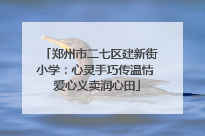 郑州市二七区建新街小学：心灵手巧传温情 爱心义卖润心田