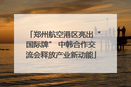 郑州航空港区亮出“国际牌” 中韩合作交流会释放产业新动能