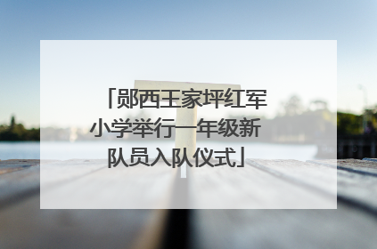郧西王家坪红军小学举行一年级新队员入队仪式