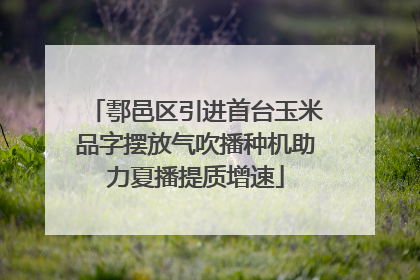 鄠邑区引进首台玉米品字摆放气吹播种机助力夏播提质增速