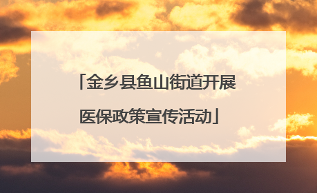 金乡县鱼山街道开展医保政策宣传活动