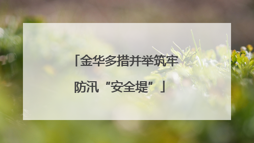金华多措并举筑牢防汛“安全堤”