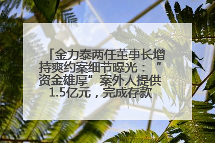 金力泰两任董事长增持爽约案细节曝光：“资金雄厚”案外人提供1.5亿元，完成存款证明后当日转回