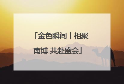 金色瞬间丨相聚南博 共赴盛会
