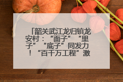 韶关武江龙归镇龙安村：“面子”“里子”“底子”同发力！“百千万工程”激活乡村新动能