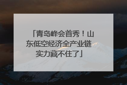 青岛峰会首秀！山东低空经济全产业链实力藏不住了