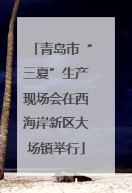 青岛市“三夏”生产现场会在西海岸新区大场镇举行