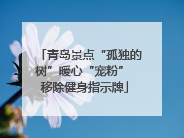青岛景点“孤独的树”暖心“宠粉” 移除健身指示牌