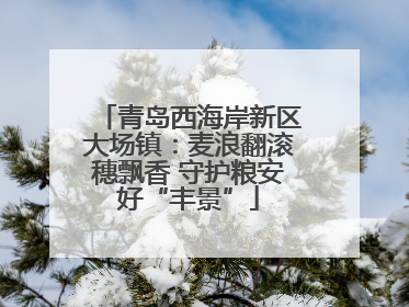 青岛西海岸新区大场镇：麦浪翻滚穗飘香 守护粮安好“丰景”