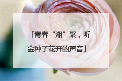 青春“湘”聚，听金种子花开的声音