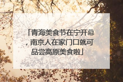 青海美食节在宁开幕，南京人在家门口就可品尝高原美食啦