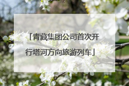 青藏集团公司首次开行塔河方向旅游列车