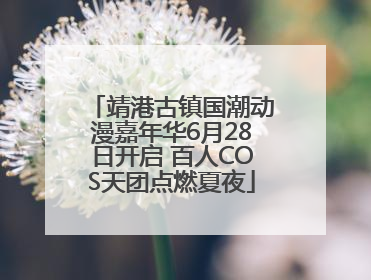靖港古镇国潮动漫嘉年华6月28日开启 百人COS天团点燃夏夜