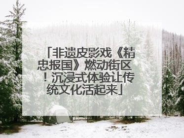 非遗皮影戏《精忠报国》燃动街区！沉浸式体验让传统文化活起来