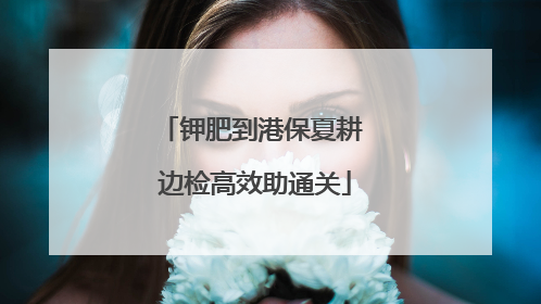 钾肥到港保夏耕 边检高效助通关