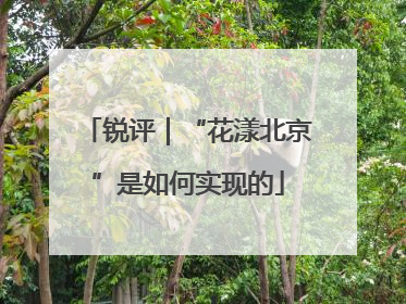锐评｜“花漾北京”是如何实现的