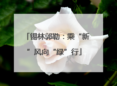 锡林郭勒：乘“新”风向“绿”行