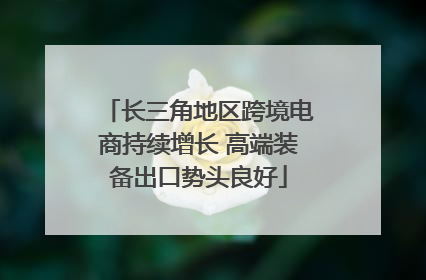 长三角地区跨境电商持续增长 高端装备出口势头良好