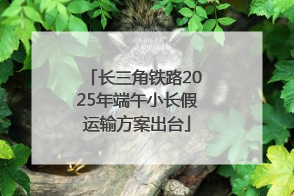 长三角铁路2025年端午小长假运输方案出台