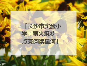 长沙市实验小学：萤火筑梦，点亮阅读星河