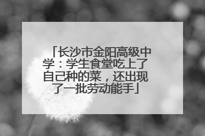长沙市金阳高级中学：学生食堂吃上了自己种的菜，还出现了一批劳动能手